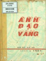 Ánh đạo vàng / Võ Đình Cường