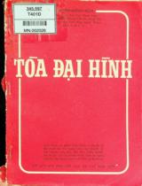 Tòa đại hình : Chế độ bộ hình sự tố tụng 1972 / Nguyễn Mộng Bích