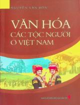 Văn hóa các tộc người ở Việt Nam / Nguyễn Văn Bốn