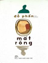 Mắt rỗng : Tiểu thuyết / Đỗ Phấn