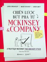 Chiến lược bứt phá từ Mckinsey & company / Chris Bradley, Martin Hirt, Sven Smit ; Trịnh Huy Nam dịch