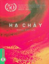 Hạ cháy : Tiểu thuyết / Đặng Duy Lưu