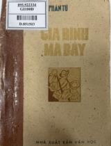 Gia đình má bảy : Tiểu thuyết / Phan Tứ