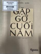 Gặp gỡ cuối năm : Tiểu thuyết / Nguyễn Khải