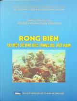 Rong biển tại một số đảo Bắc Trung Bộ, Việt Nam / Đàm Đức Tiến chủ biên, Nguyễn Thị Mai Anh, Nguyễn Trường Khoa