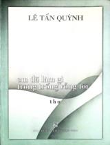 Em đã làm gì trong trống rỗng tôi : Thơ / Lê Tấn Quỳnh