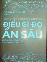 Điều gì đó ẩn sâu : Thế giới lượng tử và Không-thời gian đột sinh / Sean Carroll ; Vũ Ngọc Tú dịch