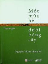 Lính trơn. Đông trùng hạ thảo : Tiểu thuyết / Mai Tiến Nghị