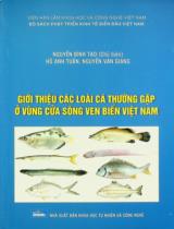 Giới thiệu các loài cá thường gặp ở vùng cửa sông ven biển Việt Nam / Nguyễn Đình Tạo chủ biên, Hồ Anh Tuấn, Nguyễn Văn Giang